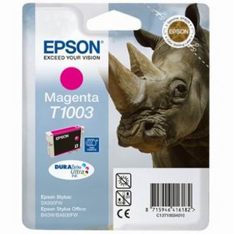 Obrazek Epson C13T10034010 originální inkoustová kazeta, barva náplně purpurová